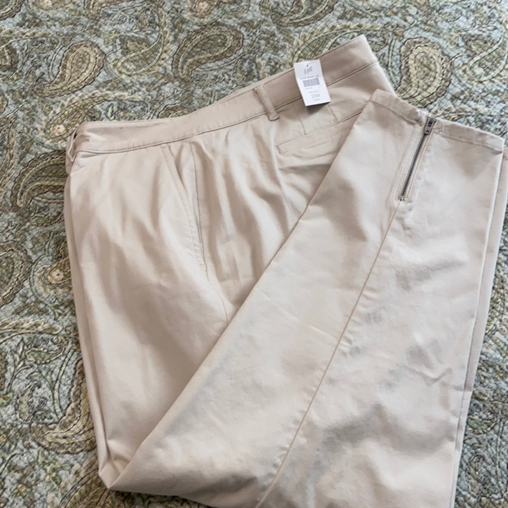 J.Jill Beige Flat Front Fitted Pant Size 20
